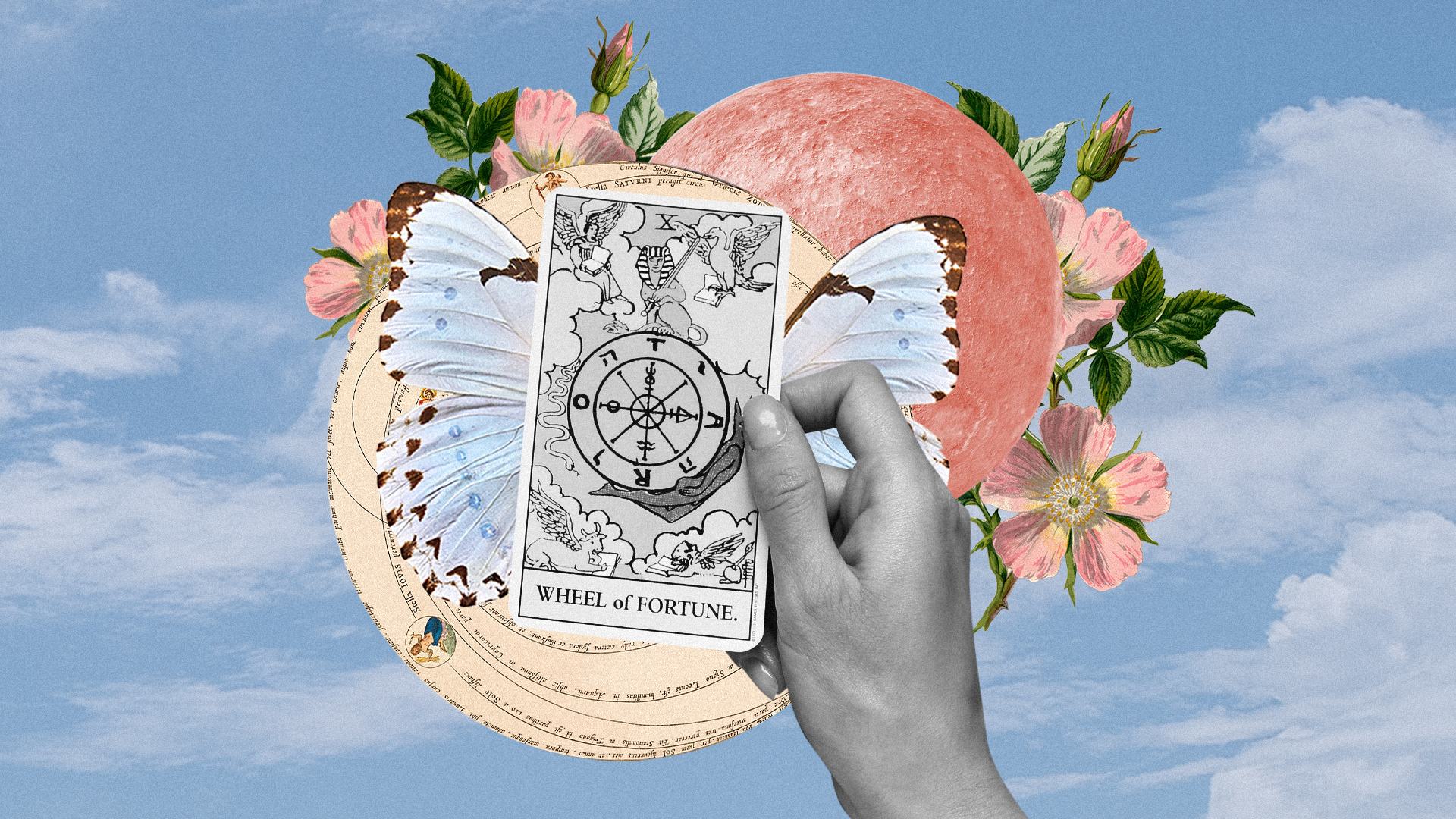 monthly tarot horoscopes
